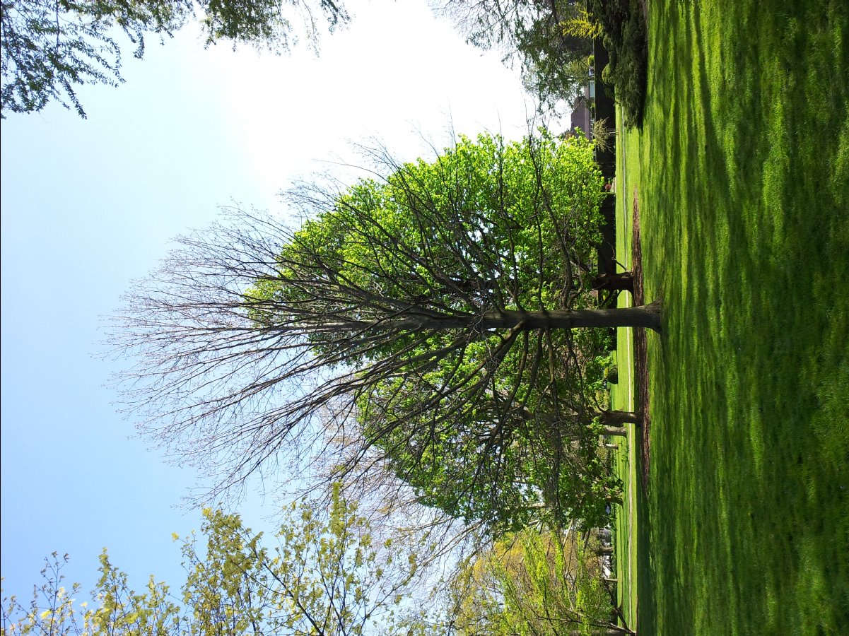 School of Gardening09